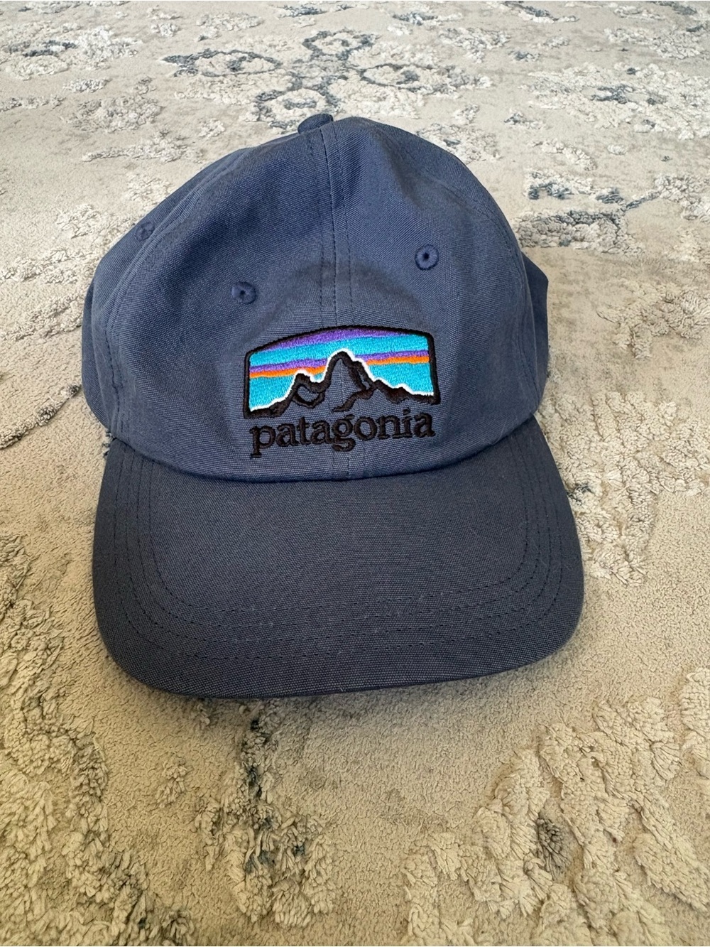 Patagonia Dark Blue Logo Cap with Multicolor Patch